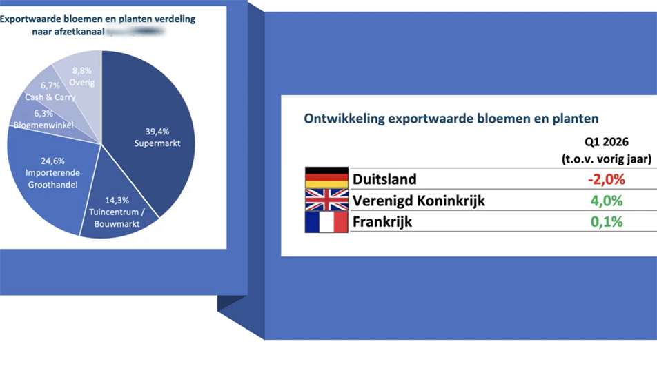 VGB Floridata